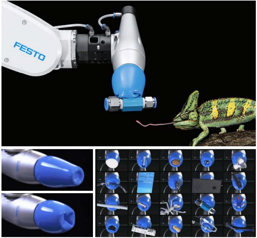 ロボット通信Vol.98 - カメレオンの舌からヒントを得たグリッパー FlexShapeGripper - | 株式会社TECHNO REACH ロボット通信Vol.98 - カメレオンの舌からヒントを得たグリッパー FlexShapeGripper - | 株式会社TECHNO REACH